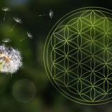 Bronzo - Software zur Archetypischen Kombinationslehre nach Randolf M. Schäfer